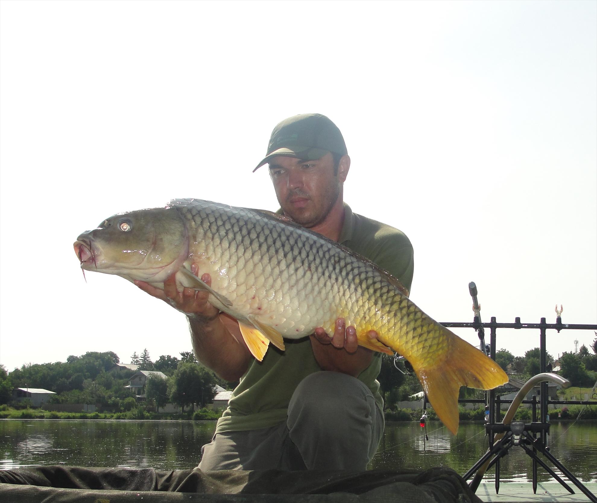 Povestea unui drill - dsc00895.JPG